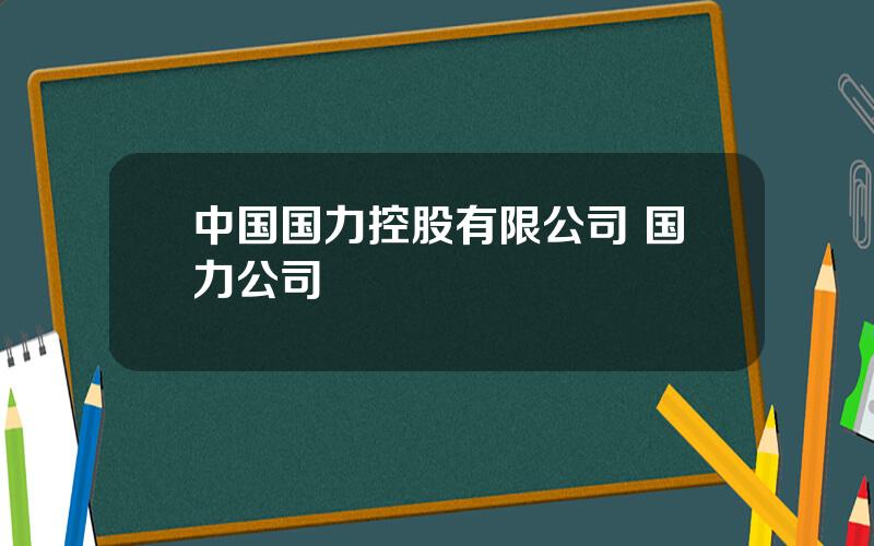 中国国力控股有限公司 国力公司